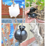 Groei-Boost Plantenvermeerderaar (5 Stuks)