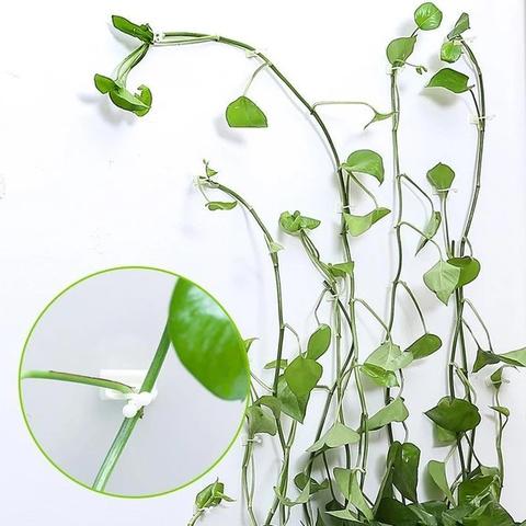 Planten Klimwand “DIY” 10 Stuks (Tijdelijk 50% Korting)