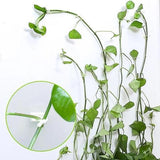 Planten Klimwand “DIY” 10 Stuks (Tijdelijk 50% Korting)