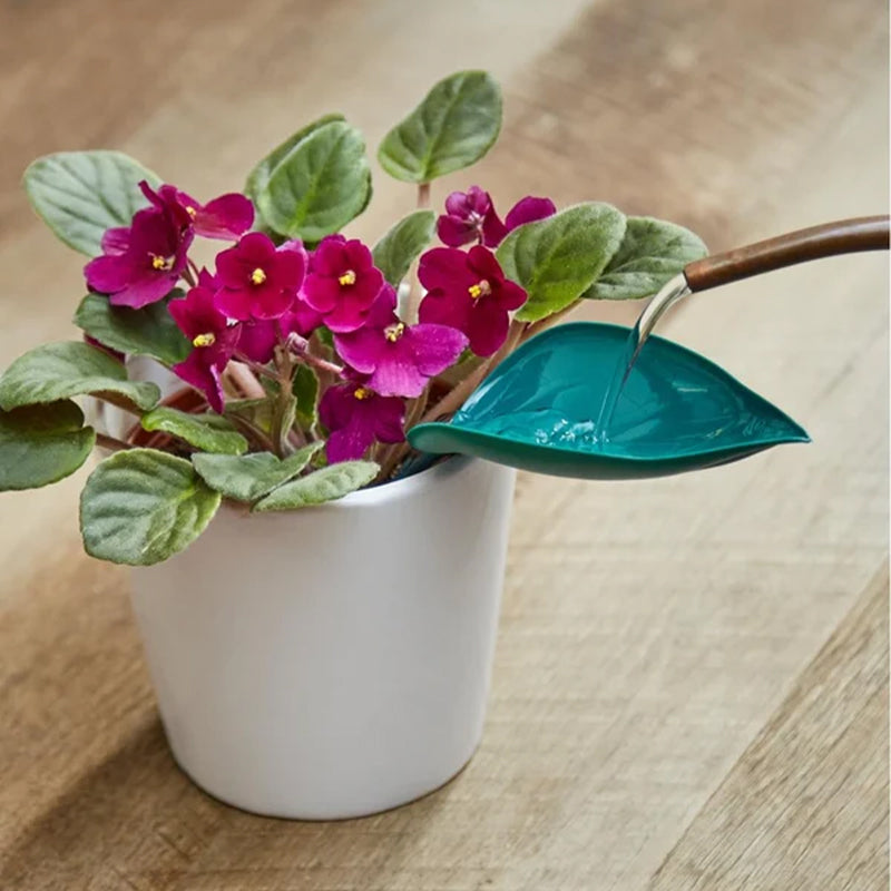 Grappige Bladeren Watergevers (3 Stuks)
