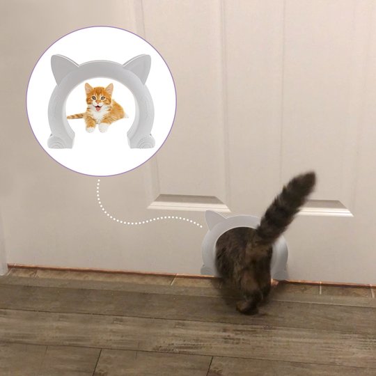 Schattig Katten Deurtje