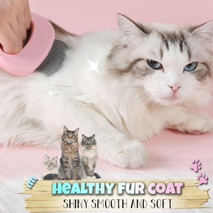 Kattenborstel "Schelpje"