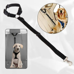 Honden Autogordel "Dog Safety"
