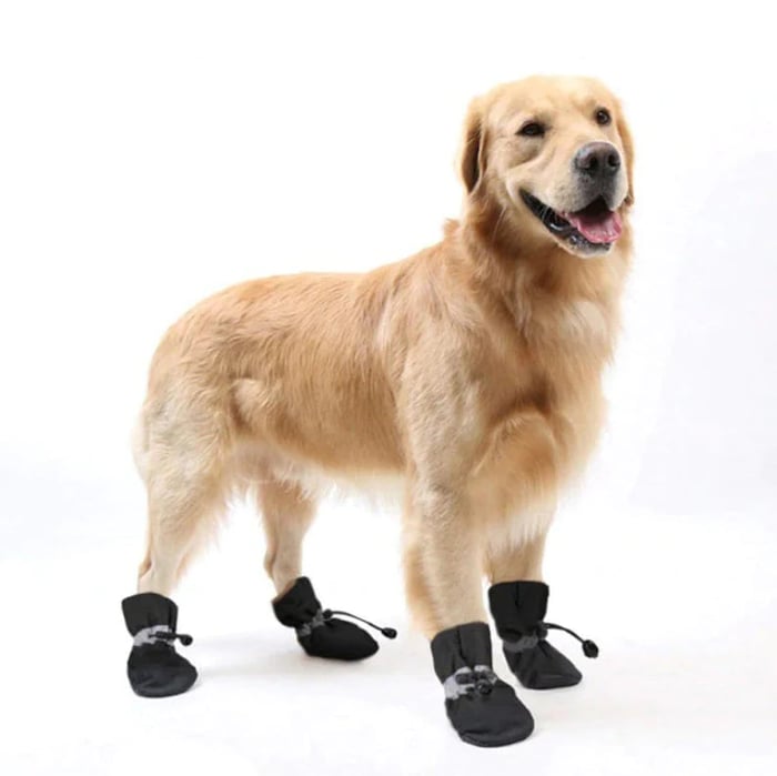 Waterdichte Isolerende Honden Schoentjes