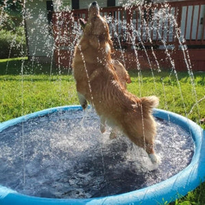 Honden Water Speelmat