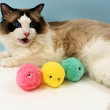 Interactief Kattenkruid Speeltje