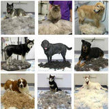 (Onder)Haar Dieren Kam - Voor minder Haren in Huis!