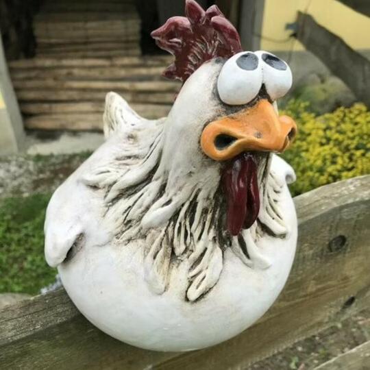 Grappige Kip Decoratie