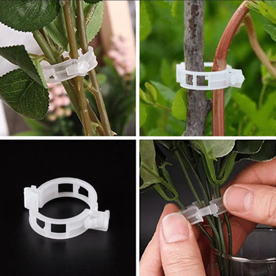 Professionele Plantenclips (50 of 100 Stuks)