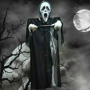 Halloween Tuin Decoratie