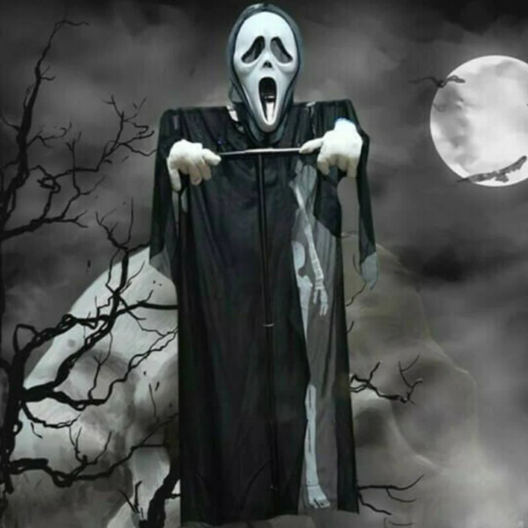 Halloween Tuin Decoratie