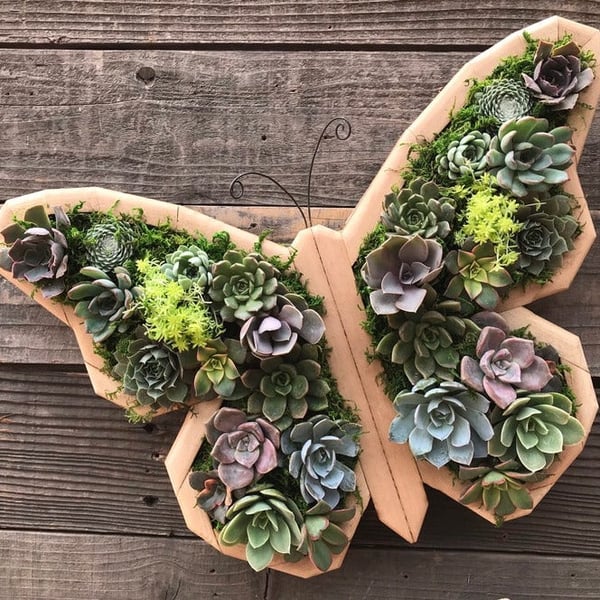Groene Oase Houten Plantenbak