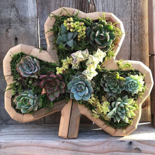 Groene Oase Houten Plantenbak