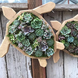 Groene Oase Houten Plantenbak
