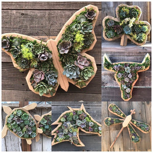 Groene Oase Houten Plantenbak