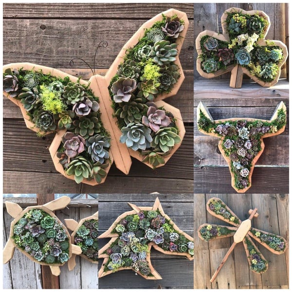 Groene Oase Houten Plantenbak