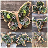 Groene Oase Houten Plantenbak