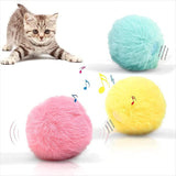 Interactief Kattenkruid Speeltje