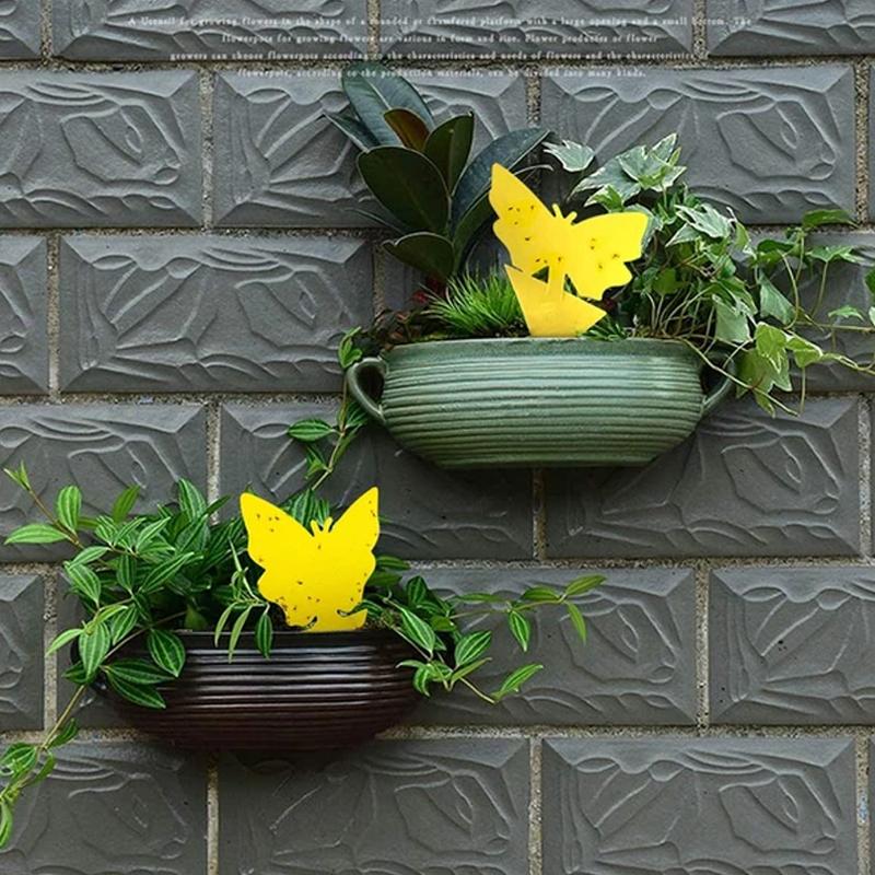 Planten Bescherming (12 Stuks!)