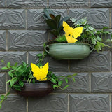Planten Bescherming (12 Stuks!)