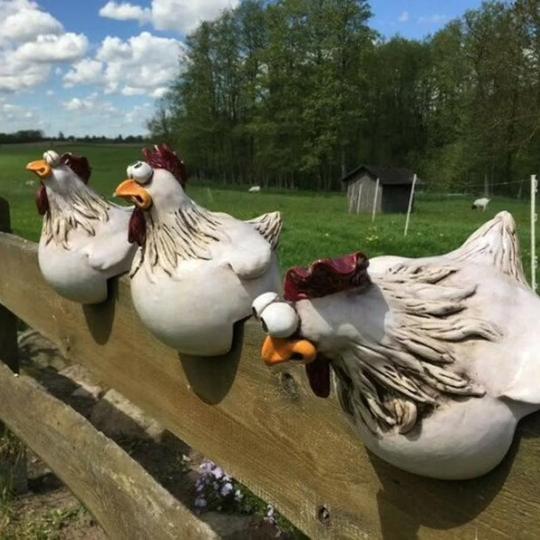 Grappige Kip Decoratie