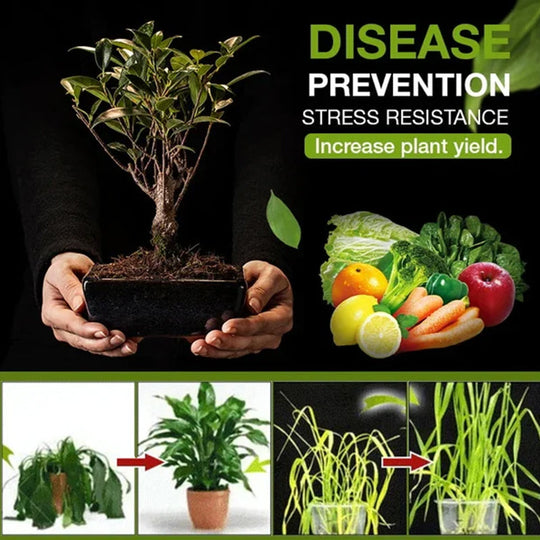 Super Planten Voeding™ | Voor snelle groei en prachtige planten!