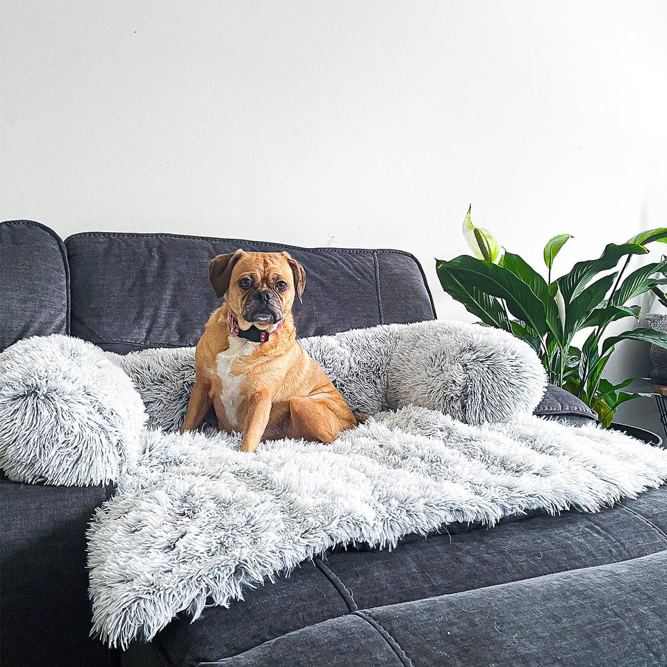 Groot Hondenbed (voor op de bank)