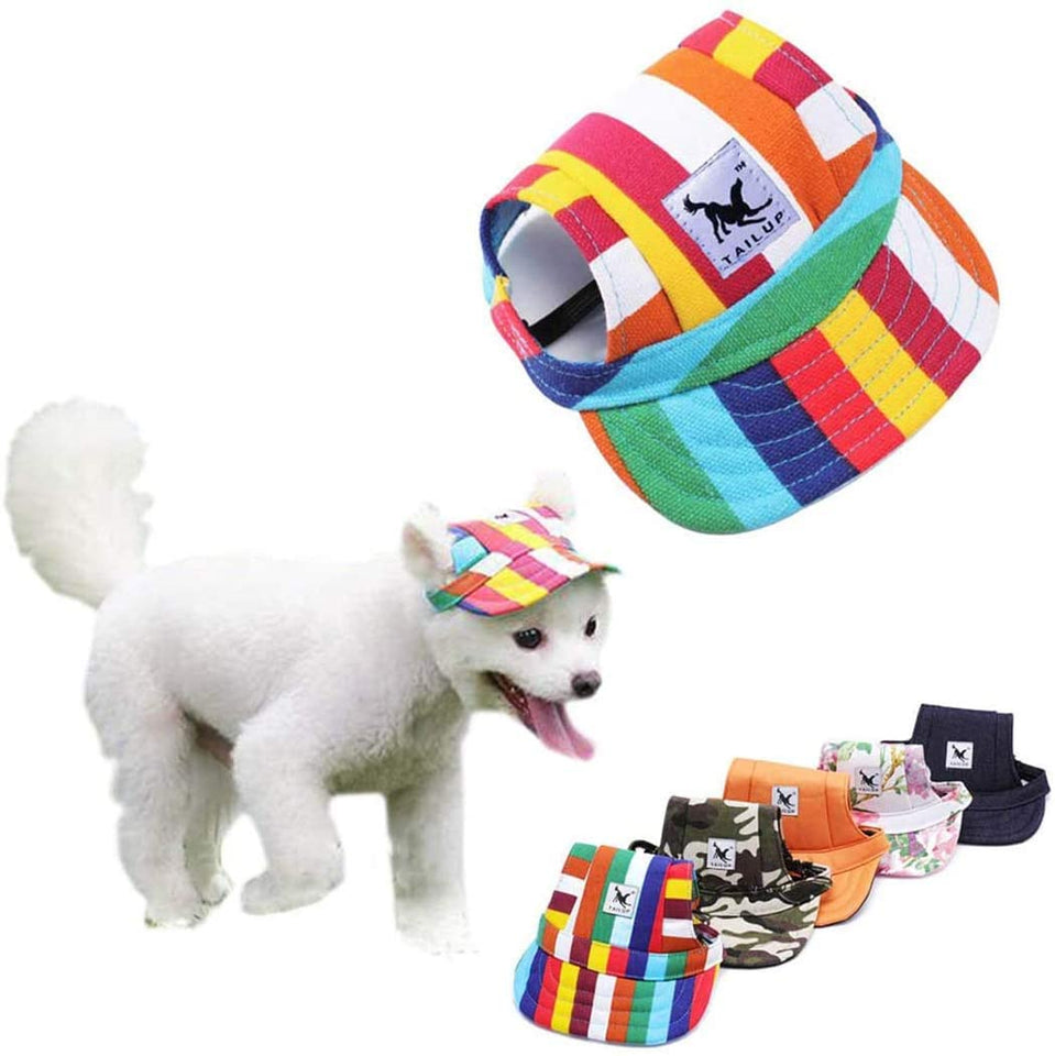 Honden Pet - Bescherm de Ogen van je Hond!