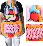 Leerzaam Anatomie Schort | Wekt een interesse in biologie!