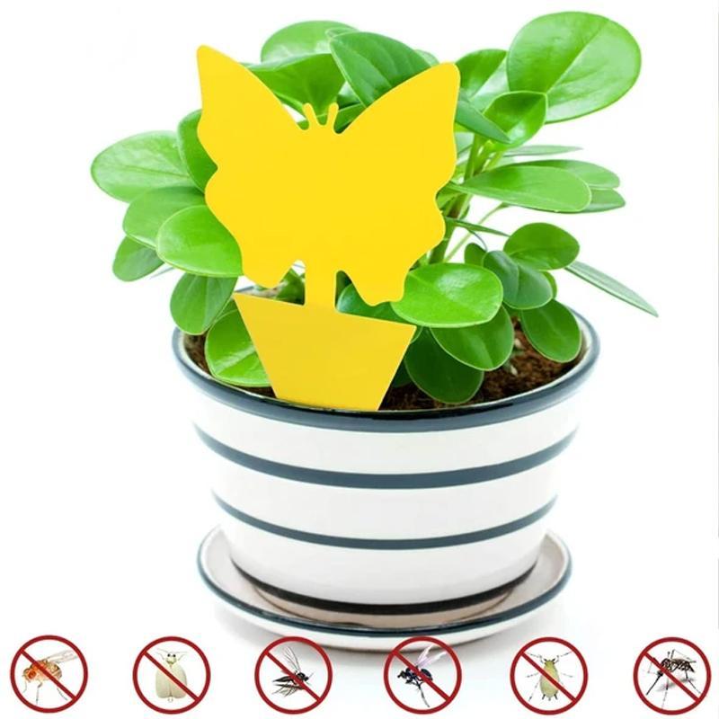 Planten Bescherming (12 Stuks!)