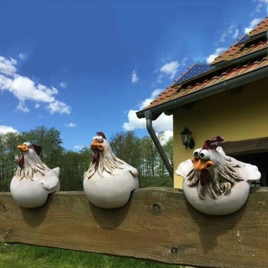 Grappige Kip Decoratie