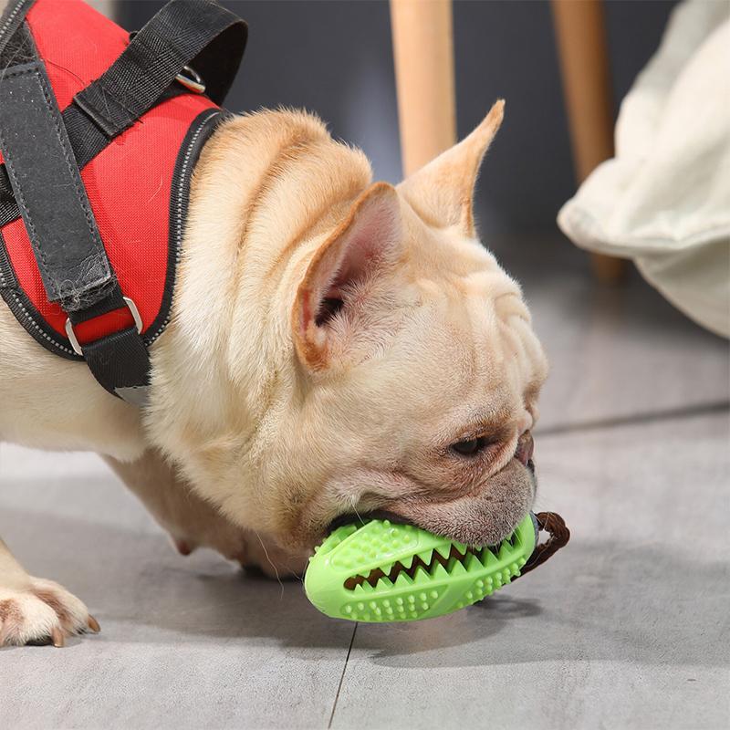 Honden Tandenborstel Speeltje