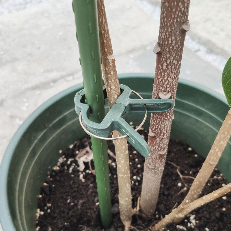 Plantenclips (20 Stuks!) - Zorg ervoor dat je bomen en planten perfect recht groeien!