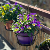 Prachtige Hangende Plantenhouders | Ideaal voor in de tuin of op het balkon!