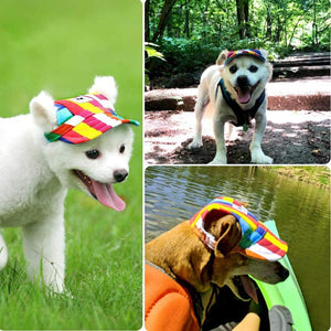 Honden Pet - Bescherm de Ogen van je Hond!