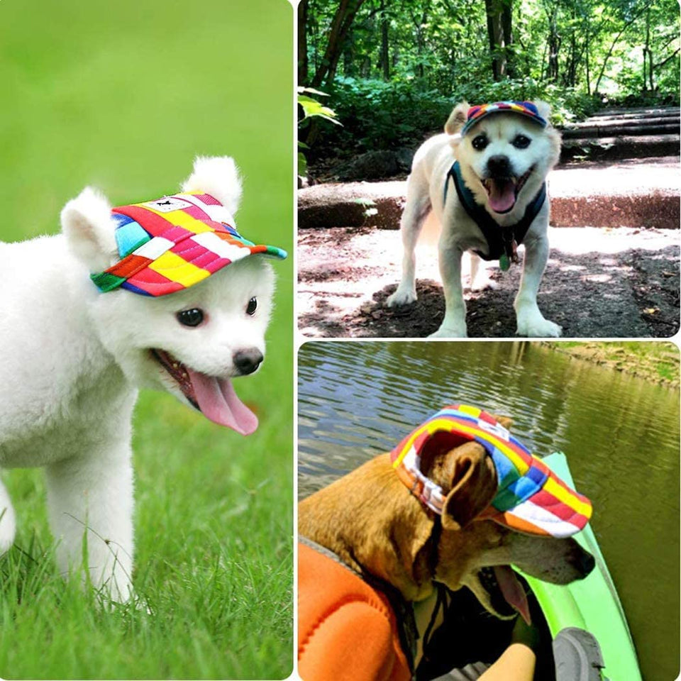Honden Pet - Bescherm de Ogen van je Hond!