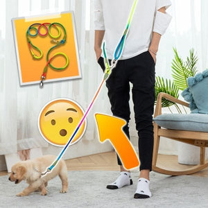 Hands Free Hondenriem