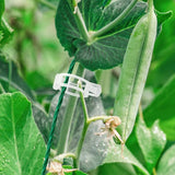 Professionele Plantenclips (50 of 100 Stuks)