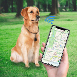 Honden GPS Tracker - Raak nooit je hond kwijt!