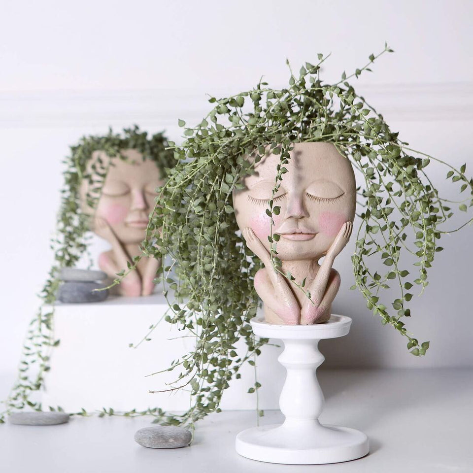 Unieke Gezicht Bloempot