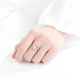 Zilver & Amethist Vossen Ring