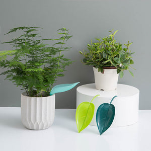 Grappige Bladeren Watergevers (3 Stuks)