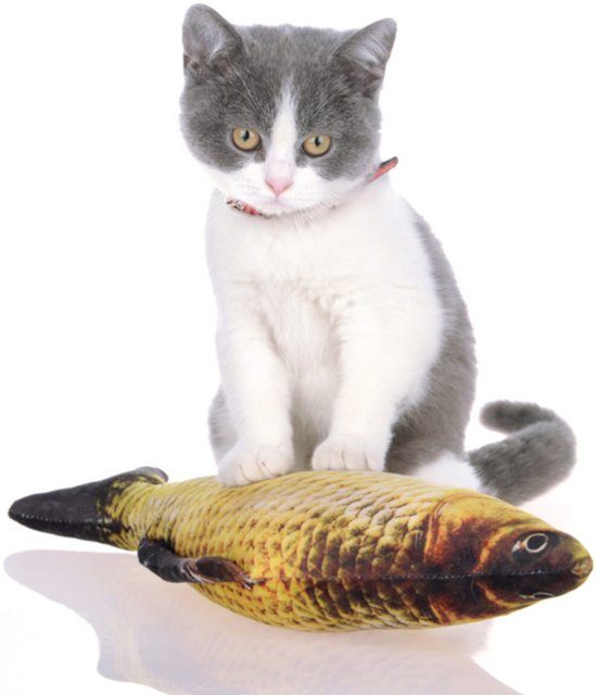 Kattenspeeltje 3D Vis Met Kattenkruid