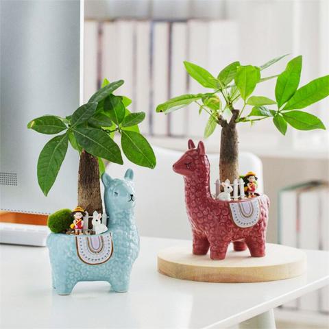 Alpaca Bloempot