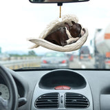 Schattige Auto Hanger