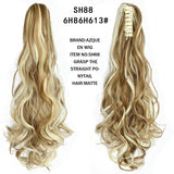 Beautify™ - Prachtige Staart Clip
