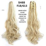 Beautify™ - Prachtige Staart Clip