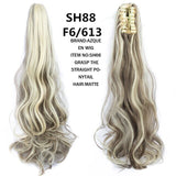 Beautify™ - Prachtige Staart Clip