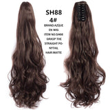 Beautify™ - Prachtige Staart Clip