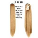 Beautify™ - Prachtige Staart Clip